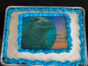 Hippo Cake